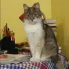 Отзыв от Катя Евсеева